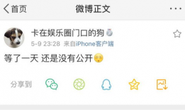 吃瓜爆料的定义是什么,网络时代下的舆论狂欢与真相探寻